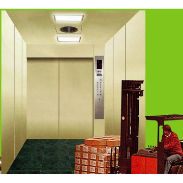 Fjzy-High Quality and Safety Freight Elevator Fjh-16020